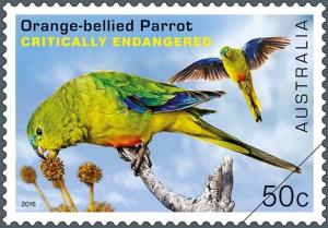 Colnect-3558-722-Orange-bellied-Parrot-Neophema-chrysogaster.jpg