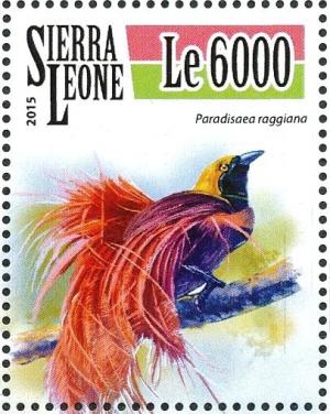 Colnect-3566-036-Raggiana-Bird-of-paradise---Paradisaea-raggiana.jpg