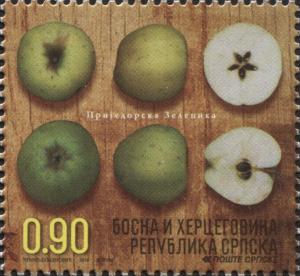 Colnect-3746-915-Apple--Prijedorska-Zelenika.jpg