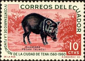 Colnect-3947-134-Collared-Peccary-Tayassu-tajacu.jpg