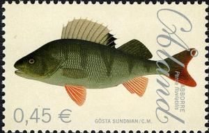 Colnect-4149-903-European-Perch-Perca-fluviatilis.jpg