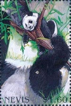 Colnect-4411-447-Giant-Panda-asleep-on-tree.jpg