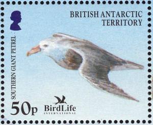 Colnect-4568-896-Southern-Giant-Petrel-Macronectes-giganteus.jpg