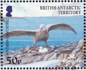 Colnect-4568-898-Southern-Giant-Petrel-Macronectes-giganteus.jpg