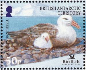 Colnect-4568-899-Southern-Giant-Petrel-Macronectes-giganteus.jpg