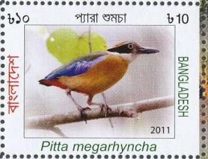 Colnect-4595-151-Mangrove-Pitta-Pitta-megarhyncha.jpg