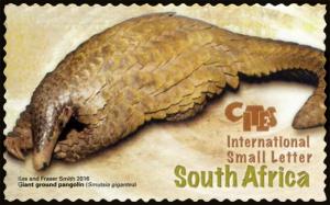 Colnect-5550-281-Giant-Grand-Pangolin-Smutsia-gigantea.jpg