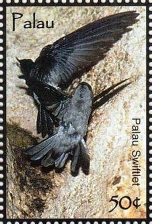 Colnect-5862-007-Palau-swiftlet.jpg