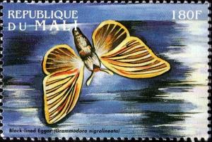 Colnect-5876-186-Moth-Poeciemitis-thysbe.jpg