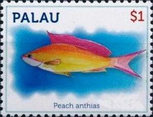 Colnect-5920-218-Peach-anthias.jpg