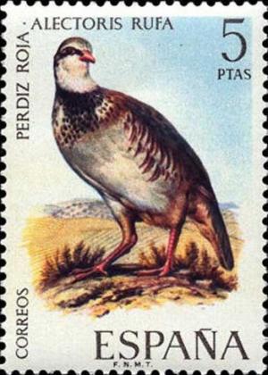 Colnect-601-845-Red-legged-Partridge-Alectoris-rufa.jpg