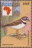 Colnect-4383-449-Common-Ringed-Plover-Charadrius-hiaticula.jpg