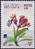 Colnect-4032-084-Plumeria-rubra.jpg