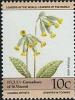 Colnect-2421-985-Primula-veris.jpg