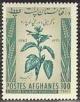 Colnect-1049-669-Jute-plant-Corchorus-sp.jpg