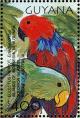 Colnect-1664-605-Eclectus-Parrot-Eclectus-roratus.jpg