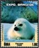 Colnect-2254-620-Harp-Seal-Pagophilus-groenlandicus.jpg