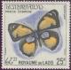 Colnect-310-849-Yellow-Pansy-Precis-cebrene.jpg