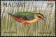 Colnect-3388-915-African-Pitta-Pitta-angolensis.jpg