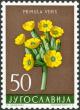 Colnect-5664-795-Primula-Veris.jpg