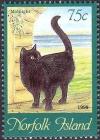 Colnect-2364-229--quot-Midnight-quot--Felis-silvestris-catus.jpg