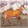 Colnect-1285-255-Balkan-Chamois-Rupicapra-rupicapra-balcanica.jpg