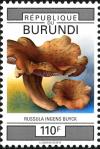 Colnect-2048-475-Russula-ingens.jpg