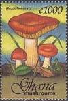 Colnect-2389-611-Russula-Aurata.jpg