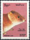 Colnect-2790-094-Rat-Rattus-sp.jpg