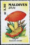 Colnect-2978-863-Russula-aurata.jpg