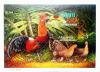 Colnect-4348-000-Ayam-Hutan-or-Red-Junglefowl-Gallus-gallus.jpg