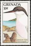 Colnect-4398-897-Roseate-terns.jpg