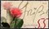 Colnect-5203-044-Rose-greeting.jpg