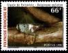 Colnect-672-552-Cicada-Raiateana-oulietea-.jpg