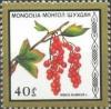 Colnect-918-377-Ribes-rubrum.jpg