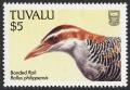 Colnect-850-700-Buff-banded-Rail-Rallus-philippensis.jpg