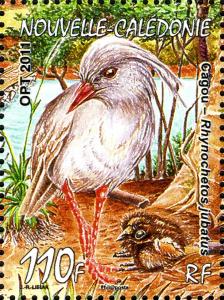 Colnect-2565-716-Kagu-Rhynochetos-jubatus.jpg