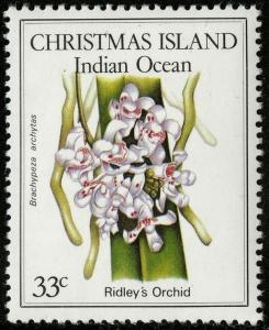 Colnect-1720-167-Ridleys-Orchid.jpg