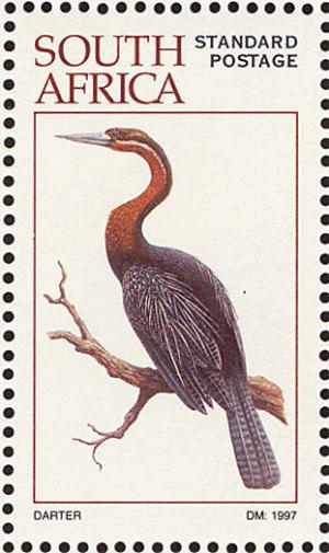 Anhinga-rufa.jpg