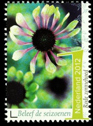 Colnect-1528-684-Red-Coneflower.jpg