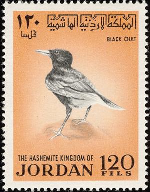 Colnect-1551-492-Black-Scrub-Robin-Cercotrichas-podebe.jpg