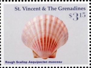 Colnect-3732-191-Rough-scallop.jpg