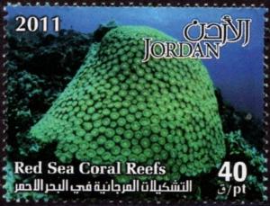 Colnect-5336-764-Red-Sea-Coral.jpg