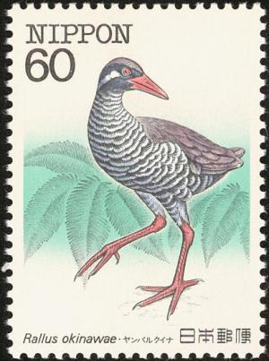 Colnect-608-848-Okinawa-Rail-Rallus-okinawae.jpg