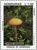 Colnect-3106-858-Amanita-rubescens-The-blusher.jpg