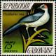 Colnect-1051-032-Grey-necked-Rockfowl-Picathartes-oreas.jpg