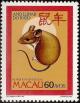 Colnect-1455-010-Rat-Rattus-sp.jpg