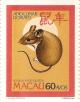 Colnect-1458-307-Rat-Rattus-sp.jpg