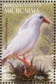 Colnect-1620-610-Kagu-Rhynochetos-jubatus.jpg