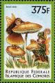 Colnect-3031-315-Russula-aurata.jpg